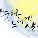 느리게살자 이미지