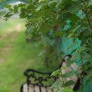 해평 금호리 이미지