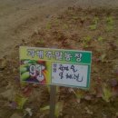 경술농장 이미지