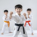 특사태권도