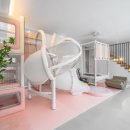 디토키즈풀빌라 이미지