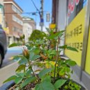 해답공인중개사사무소 이미지