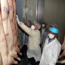 제주축산농협 축산물공판장 이미지