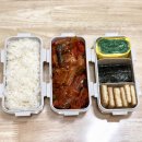 꽁치코치