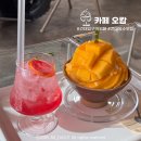 오캄 [ 카페 <b>오캄</b> ] 생망고 빙수가 맛있는 건대 디저트 카페