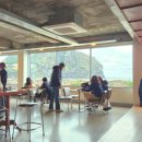 노랑제주 | 제주도민추천 2025년 봄 유채꽃 노랑노랑 나들이 후기 제주한달살이숙소 몽구옥