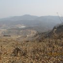 채산 Daum카페