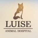 친절한 동물병원 이미지