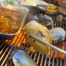 짱조개나라