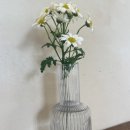 수나로이소품