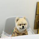 그미마당(keumimadang) 이미지