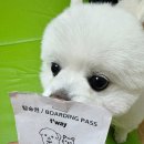 느영나영민박 | 2024 제주도 여행 1일차