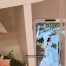 스몰웨딩 드레스 추천, 셀프웨딩 드레스 대여 블레스올데이즈ㅣ시오, 지젤, 마리에, 테사