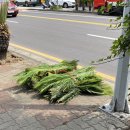 마이타운 브로 이미지