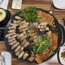 월교제 네이버블로그
