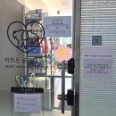김포 걸포동 동물병원 추천 | 노화인 줄 알았던 마루의 쿠싱증후군 진단 후기