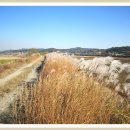 장암 송죽 억새길 이미지