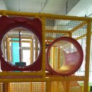 모모로 키즈카페 이미지