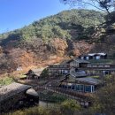 국립대관령치유의숲 네이버블로그
