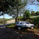 대신중학교 앞 이미지