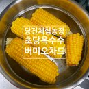 은골농장 | 당진 체험농장) 버미오차드 초당옥수수 구매 후기! /초당옥수수 손질법/당진 농부체험/당진 아이와 가기...