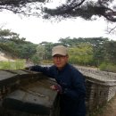 산천초목 이미지