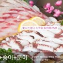 빛나는바다 이미지