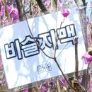 밀양 종남산 이미지