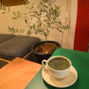 바우와우 하우스 | 대구 수성구 브런치 맛집 테카 대구은행역 데이트하기 좋은 내돈내산 카페