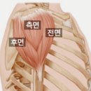 프레스집 이미지