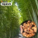 대나무숯불구이 | [순천] 대나무숲에서 즐기는 닭숯불구이 주말 방문후기 '대숲골농원', 바로 옆 야외카페 '인더밤부'