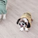 소울도기 이미지