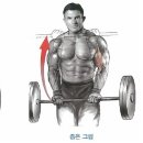 피렉스헬스 이미지