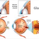 분당밝은아이동물병원 이미지