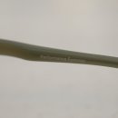 청안안경원 이미지