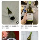 프리울리 | 와인 추천 커클랜드 시그니쳐 피노그리지오 프리울리 하정우 와인 대체가능 코스트코 신메뉴 저렴이 와인