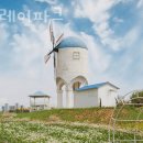 태안가볼만한곳 엠플레이파크 태안펜션 태안캠핑장 안 찾고 놀수 있는 국내여행지 요금 주차 이용시간