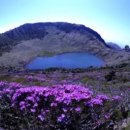 한라산약국 이미지