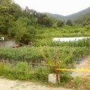 호반민박 이미지