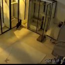 호텔이냥 이미지