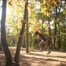 설매재자연휴양림 이미지