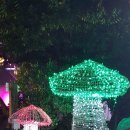 유구마곡사로 이미지