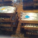 천사날개 이미지