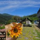 타이어프로 고령점 이미지