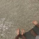 애월의남자 민박 이미지