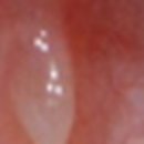 플란트앤와이필치과의원 이미지