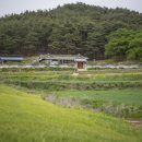 계상고택