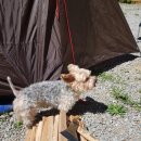 동그라미캠핑장 이미지