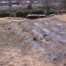 보석부동산공인중개사사무소 이미지