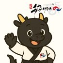 흑룡태권도장 네이버블로그